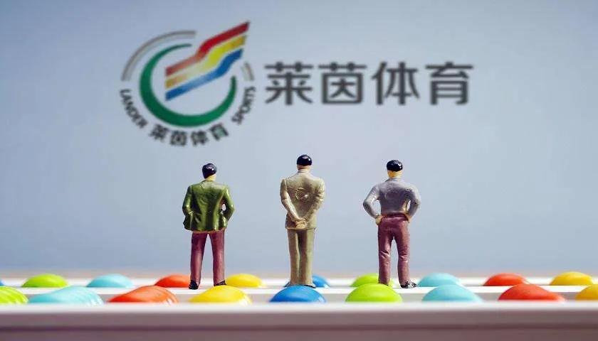 莱茵体育重组后的股价,莱茵体育停牌后会涨吗