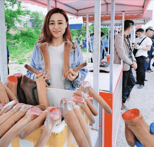 王娇养梅花鹿,梅花鹿王娇