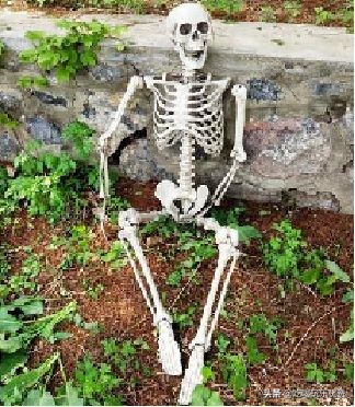 苏州四季悦室内温泉水乐园，万圣“捣蛋水球大战”、精灵汤池…