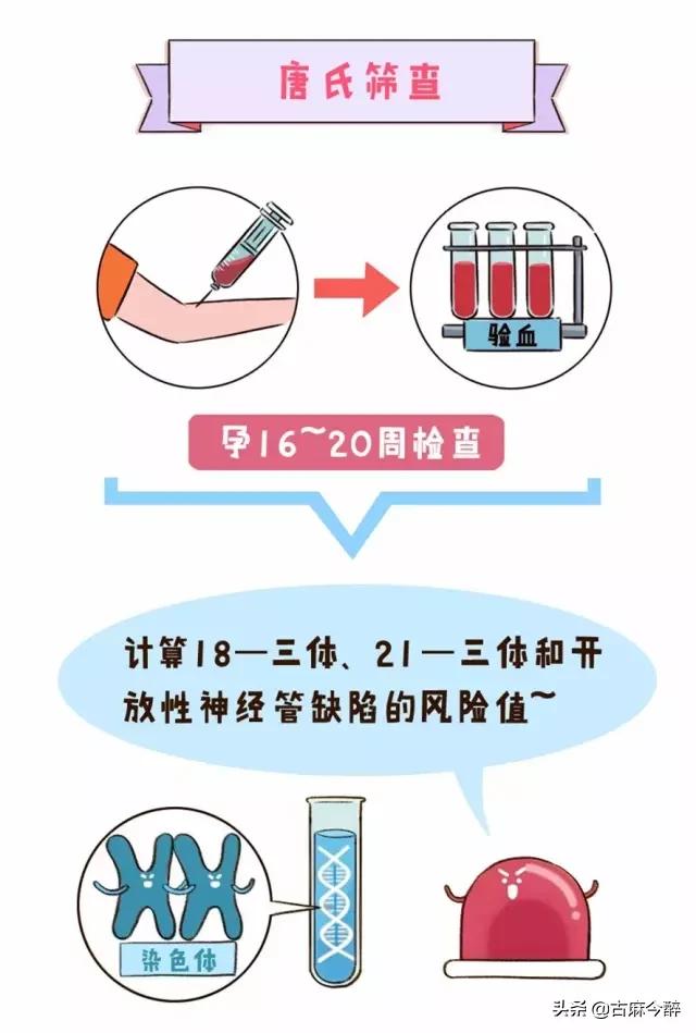 一分钟看懂孕检b超图,一秒教你看懂孕检化验单