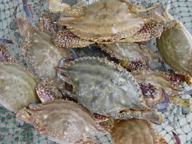 90后小伙走上致富之路,90后小伙自己赚钱的门道