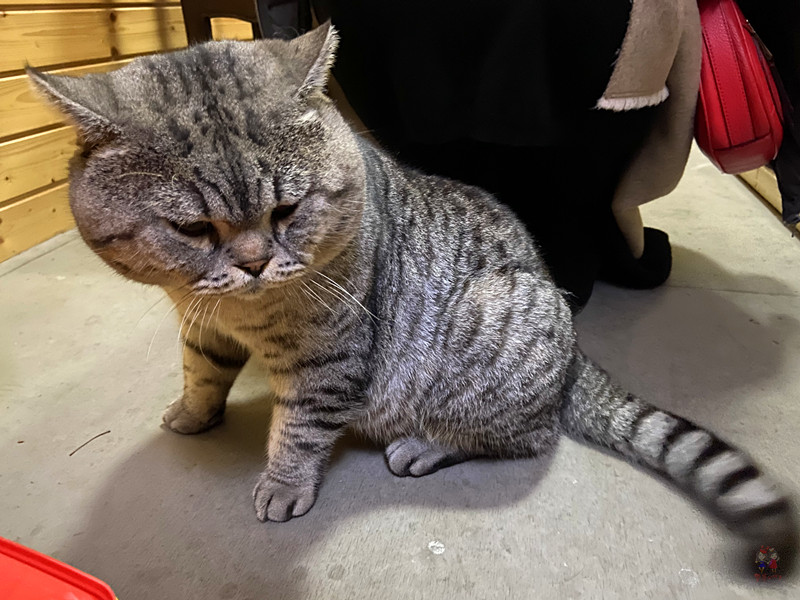 康熙乾隆12次下江南，却去了惠山古镇14次，一个小镇到底藏了啥？