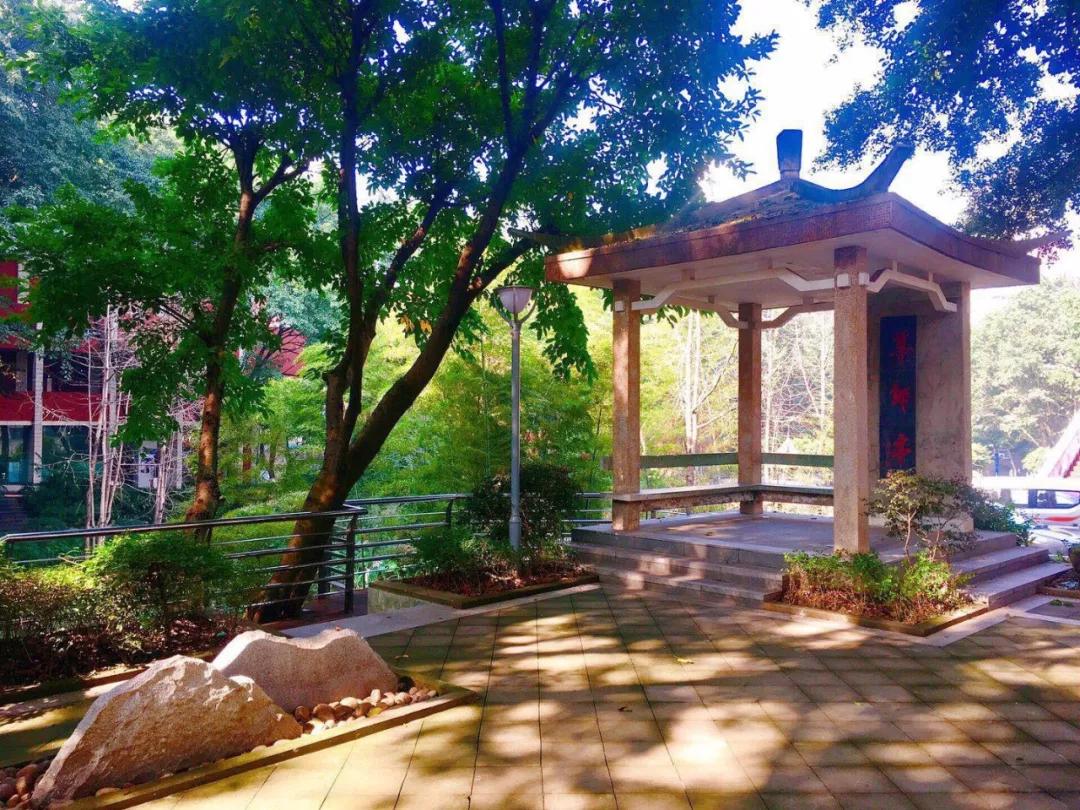 重庆一中本部到底有多强,重庆一中小升初试题及答案