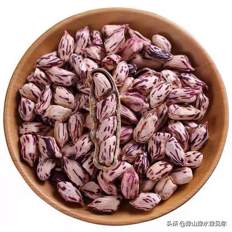 发现生活中的各种奇妙物品,发现生活中的缤纷世界