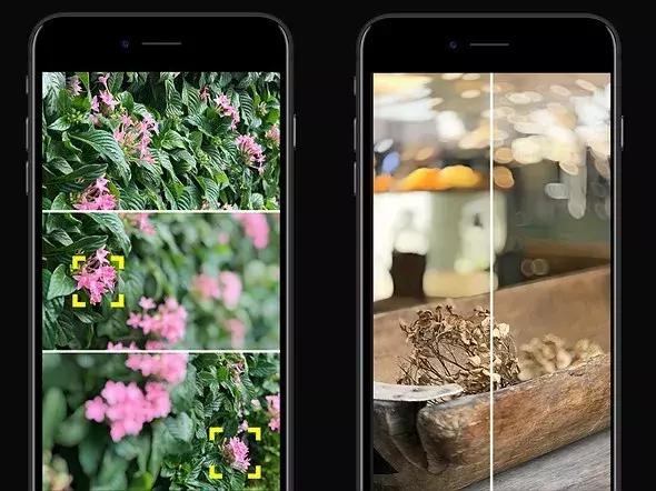 盘点2020年最受欢迎的app,盘点10个冷门但逆天的app
