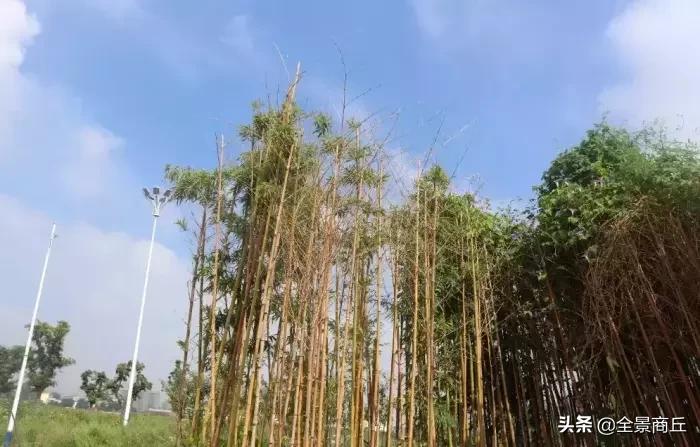 三条河交汇的地方,三条河流交汇处