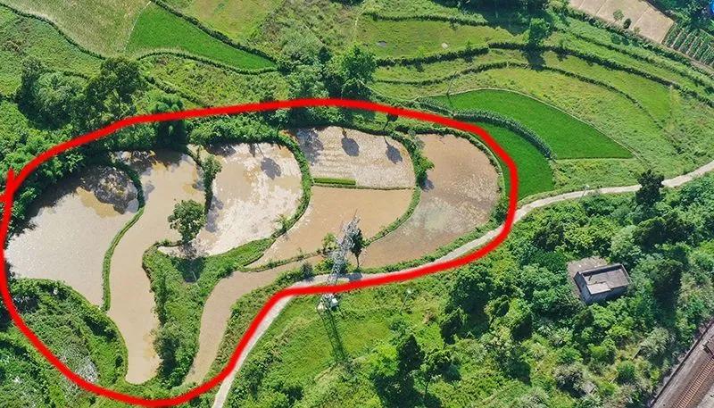 鍏泭璇夎瀹堟姢缇庡ソ鐢熸椿涓撻」鐩戠潱,瀹堟姢缇庝附瀹跺洯鍏泭璇夎