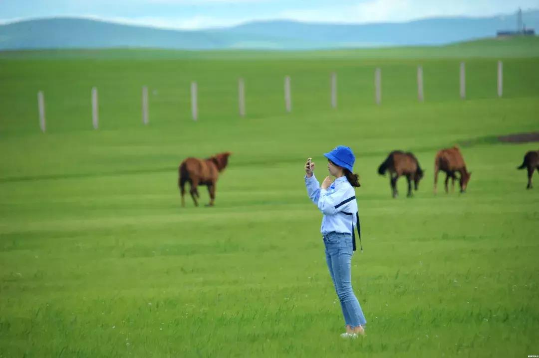 内蒙古乌拉盖地图,内蒙古乌拉盖位置