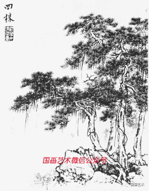 俞子才画松视频,如何快速画松树国画