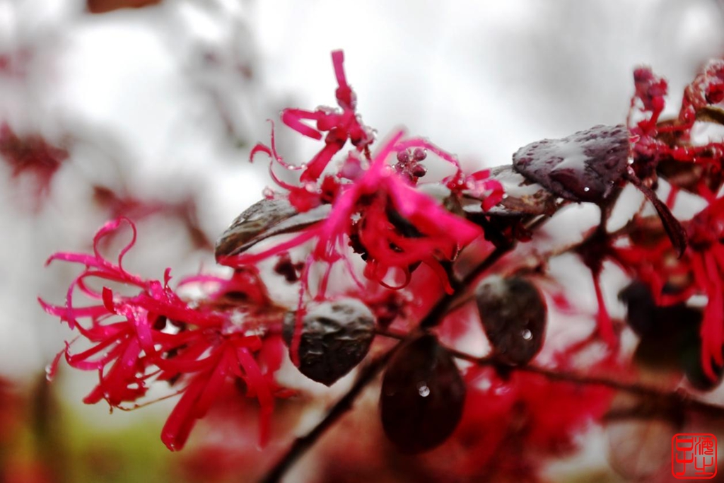 浙江母亲河钱塘江,浙江台州春风