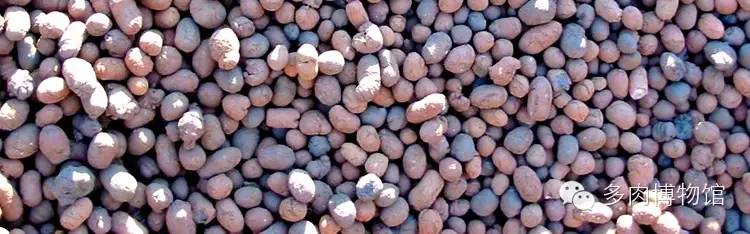 多肉用什么土长得快怎么配土,新手养多肉怎么配土最好
