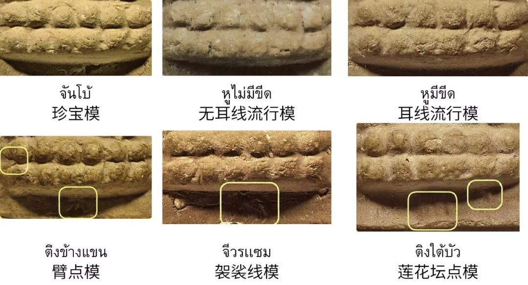 2494普陀耐大模价格曝光和综合鉴定方法「鉴变」