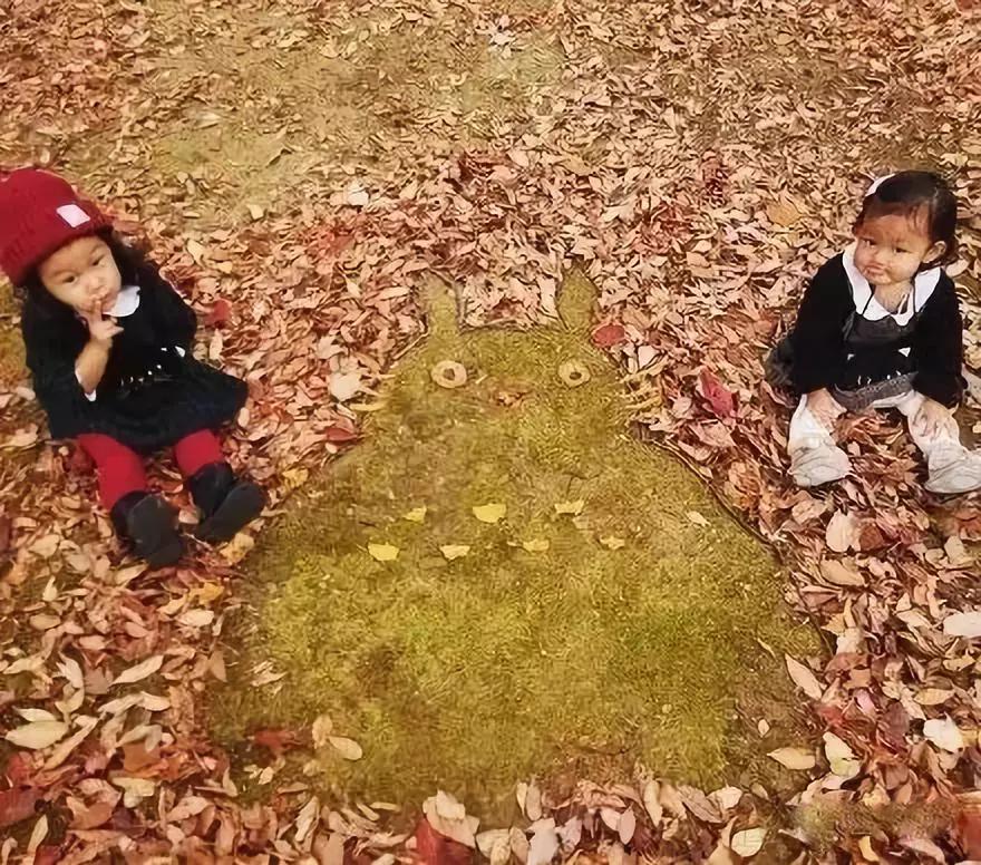 把秋天的落叶变成手工艺术品,秋天大自然手工创意