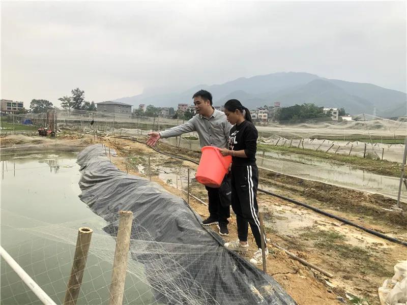 根竹镇新民村委名单,贵港市港北区根竹镇新民村