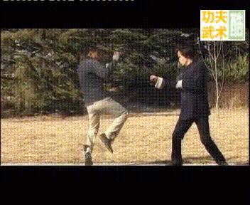 经典武术格斗技巧,各种武术格斗技巧