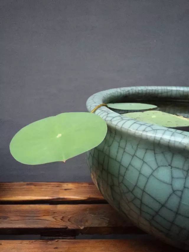 梦想改造家小户型,农村庭院改造效果图大全