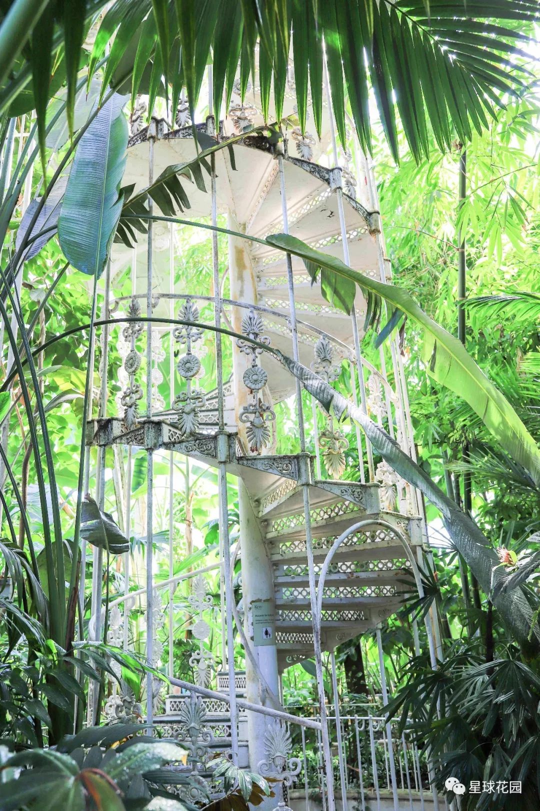 二木带你游花园|邱园（kewgarden）离我们到底有多远？