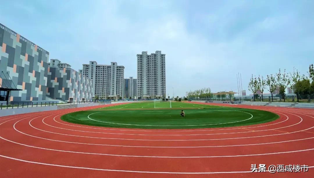 新增的231个学位是什么,5年内新增438万公办学位