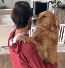 我家狗狗以为它是我亲生的,你家狗会不会认为是你亲生的