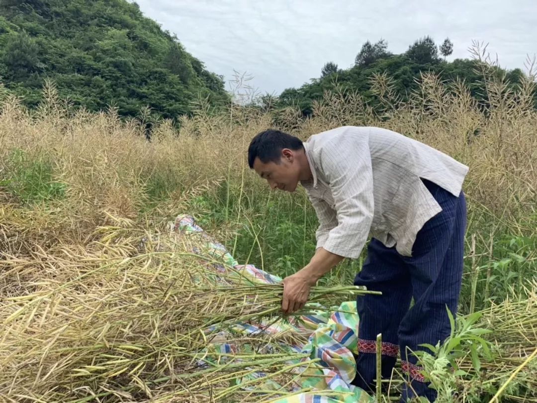 “磨叽哥”的另类代购生意：全村的希望，不做网红想做企业家