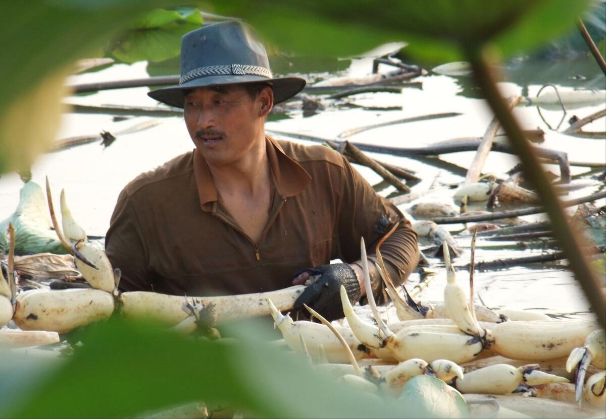 秋天是养生的最佳时间,秋天怎么养生最佳