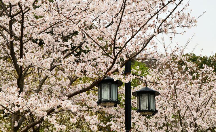 苏州上方山国家森林公园地图,苏州上方山国家森林公园航拍