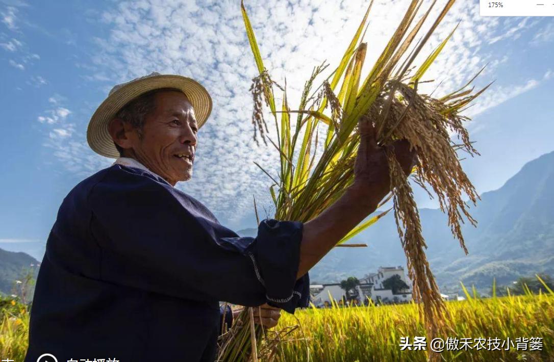 如何区别化肥硫酸铵和氯化铵,如何分辨硝酸铵尿素和碳酸氢铵