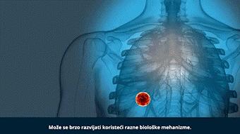 这些已被疫苗“治愈”的特殊晚期肺癌患者受到了西班牙国王的接见