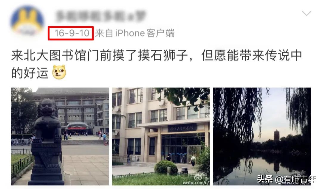 北大石狮子绝育事件,北大石狮子修复了吗