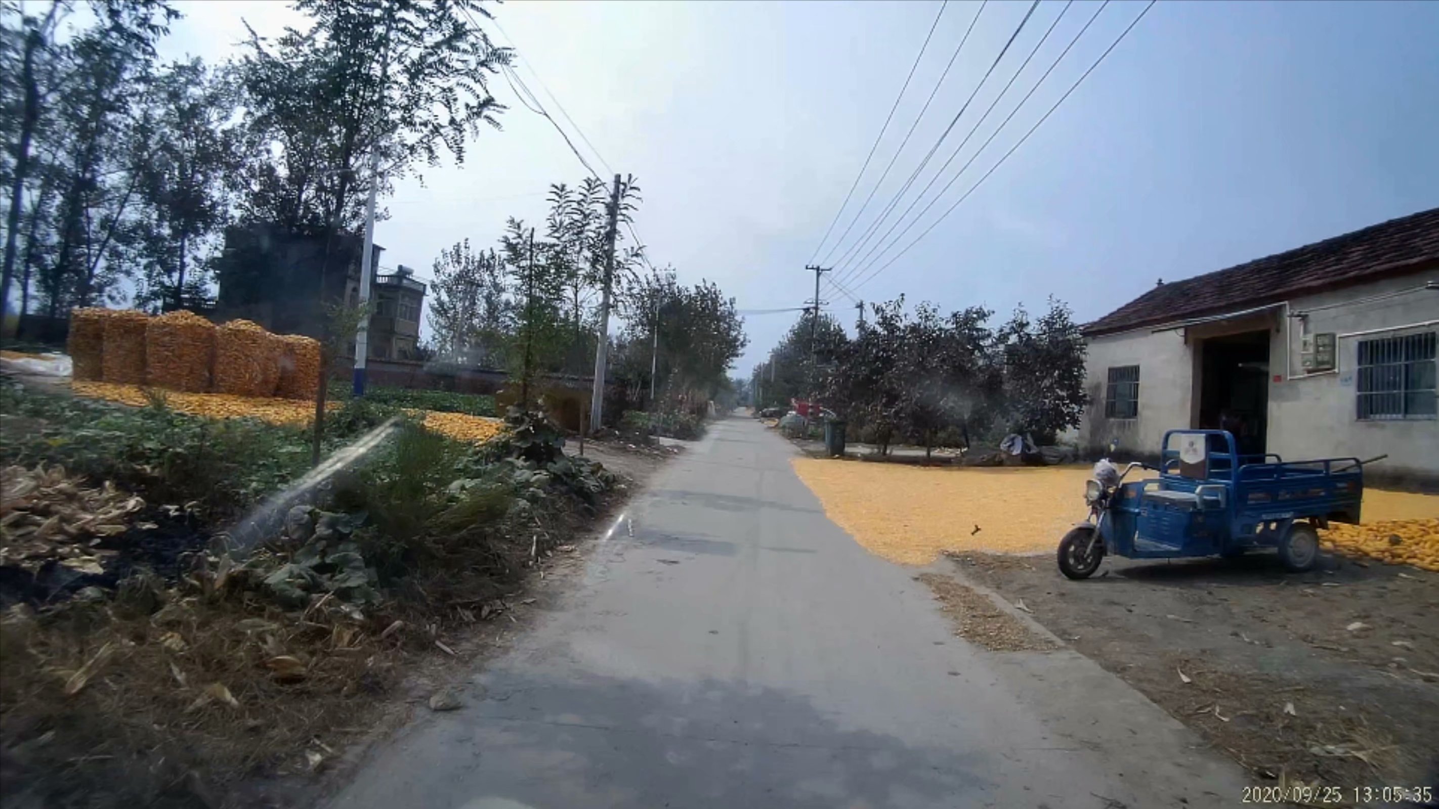 俞伯牙墓为什么在固镇,俞伯牙墓出土