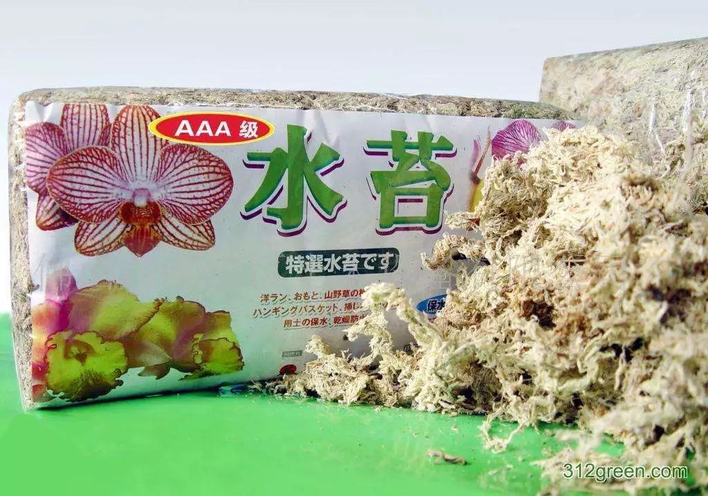 蝴蝶兰烂根怎么处理啊,蝴蝶兰烂根的原因和处理方法