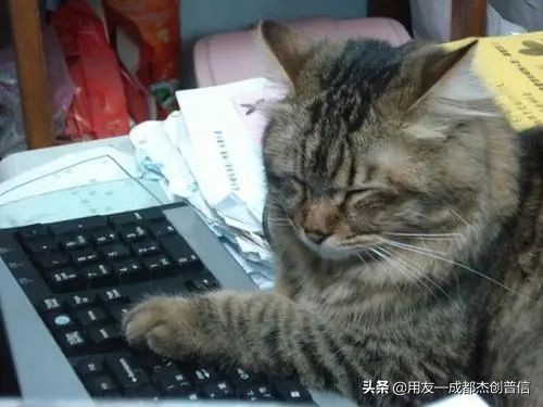 代记账公司能学到东西吗,代账公司能学到东西吗