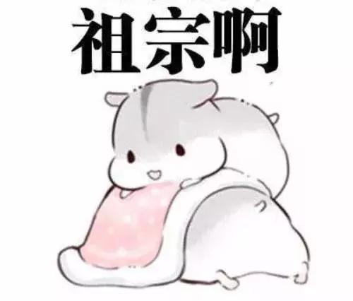 仓鼠饲养八大禁忌仓鼠会认主人吗,仓鼠饲养八大禁忌仓鼠吃什么蔬菜