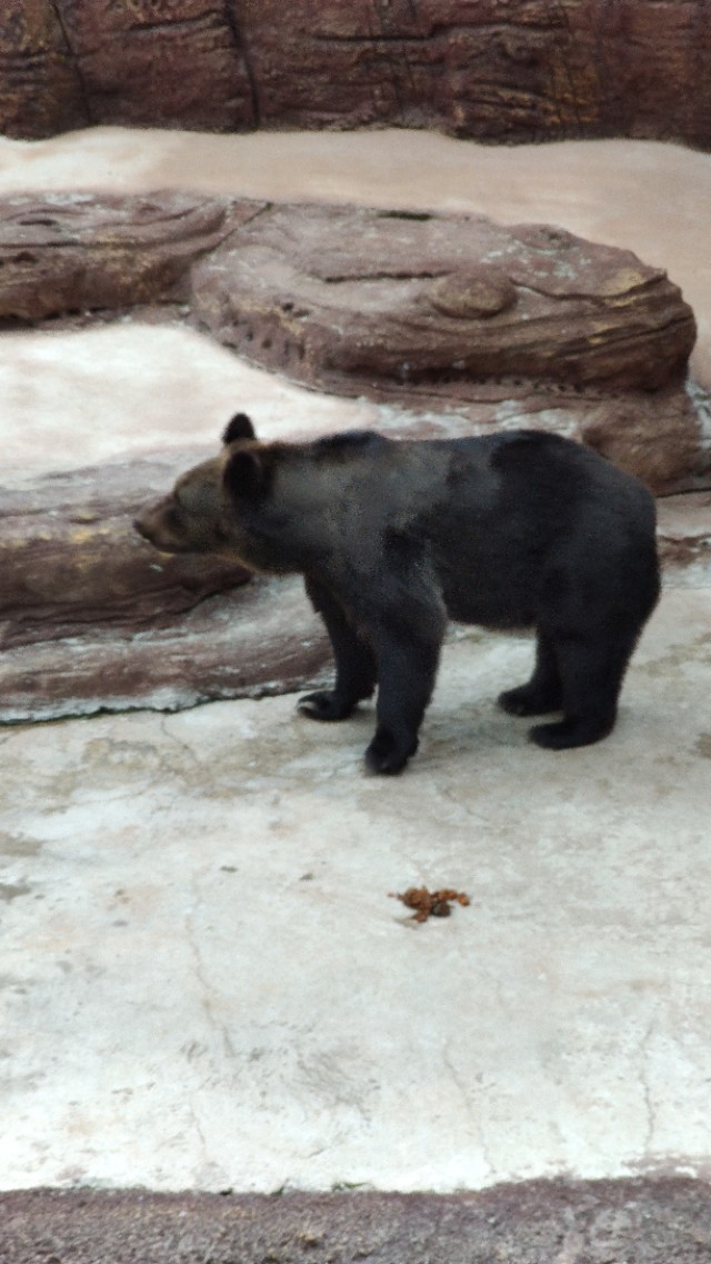 福州欧乐堡海洋世界家庭套票团购,福州欧乐堡海洋世界门票价格