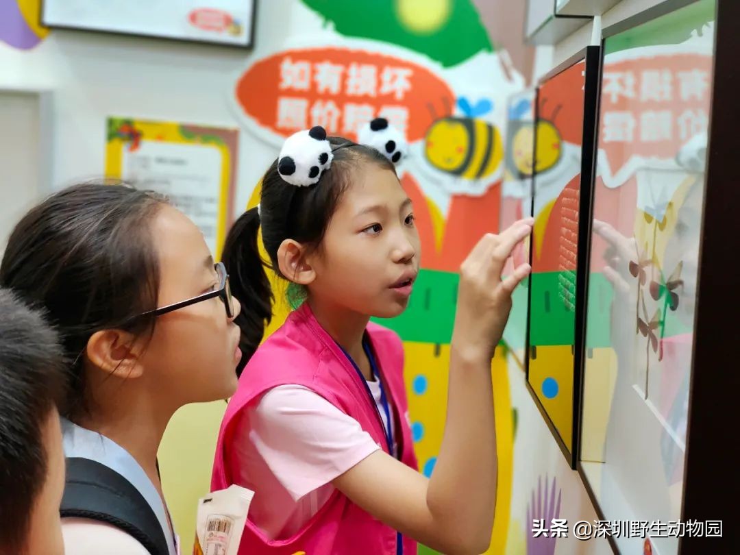 聆听奇趣虫语，发现自然之美