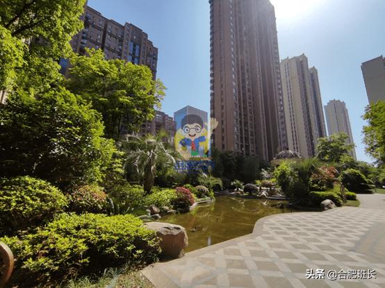 滨湖省府板块高速,实探滨湖区省府中轴禹洲绿城兰园