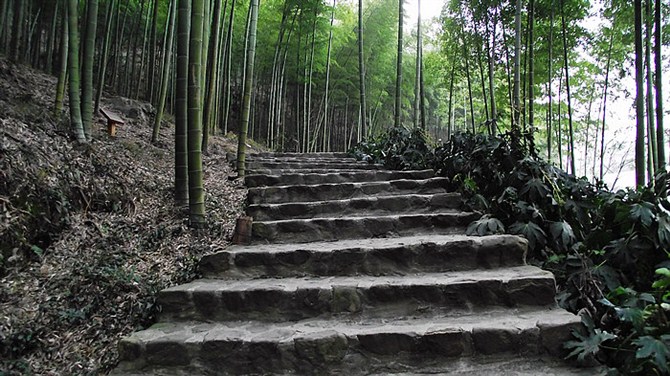 宜兴竹海山顶华南第一峰,宜兴华东第一竹海