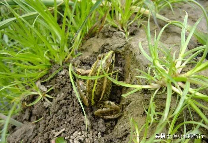 生态农场知多少,生态农业指的是哪些