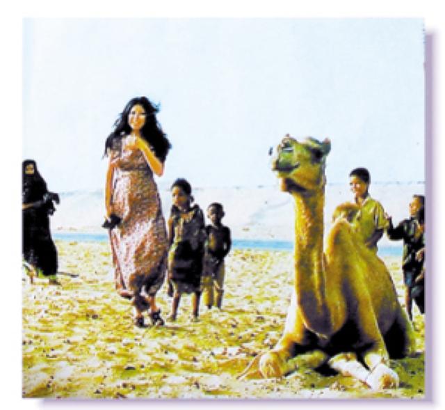 三毛为什么用芳邻来形容她的邻居,三毛芳邻赏析