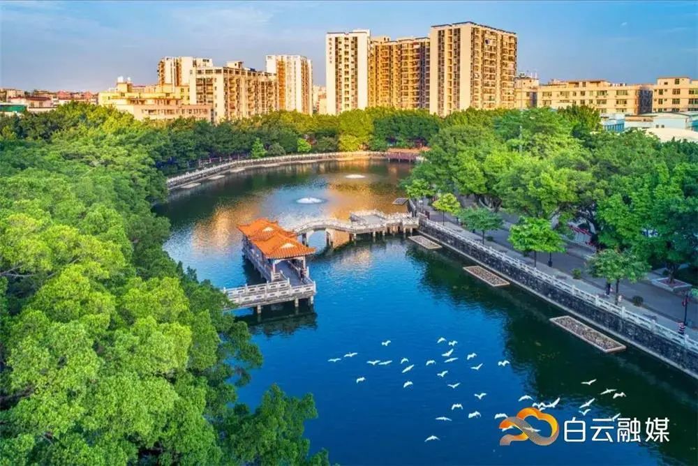 白云区好的初中排名榜,白云区成绩排名