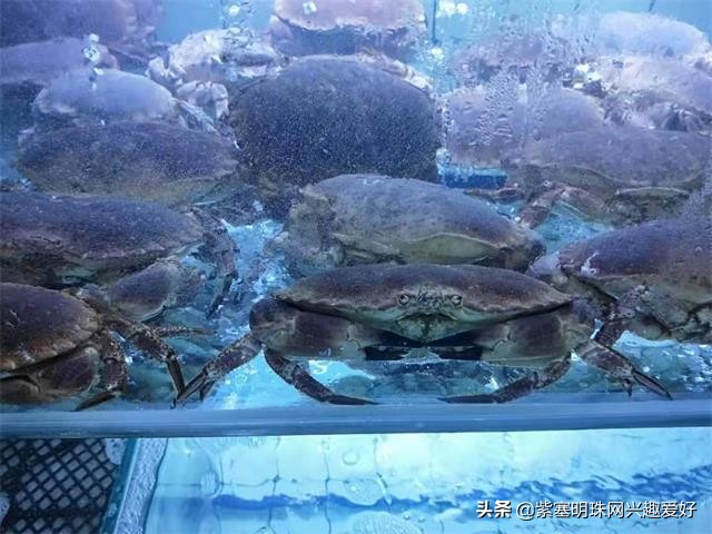 日照旭日家园渔家乐是在吴家台吗,日照吴家台旭日家园渔家乐