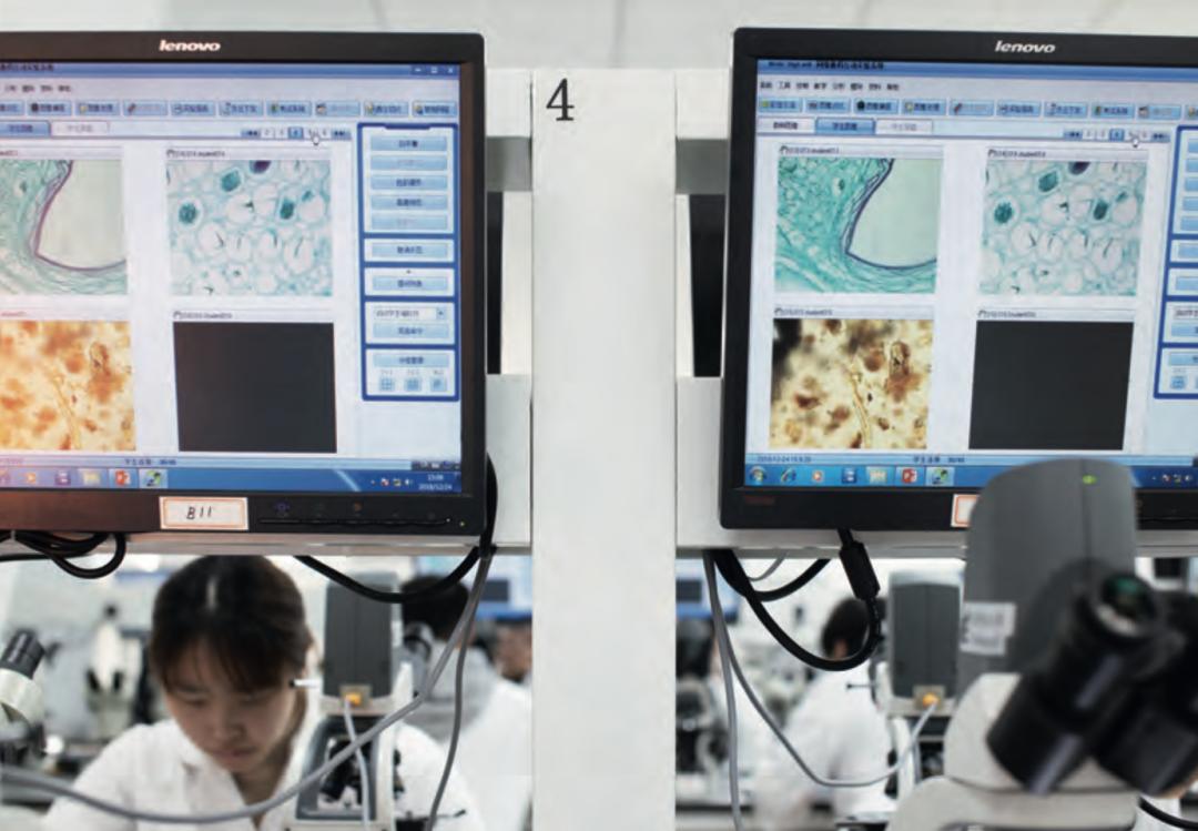 不只是医书带你真正了解本草纲目,盘点不同版本的本草纲目