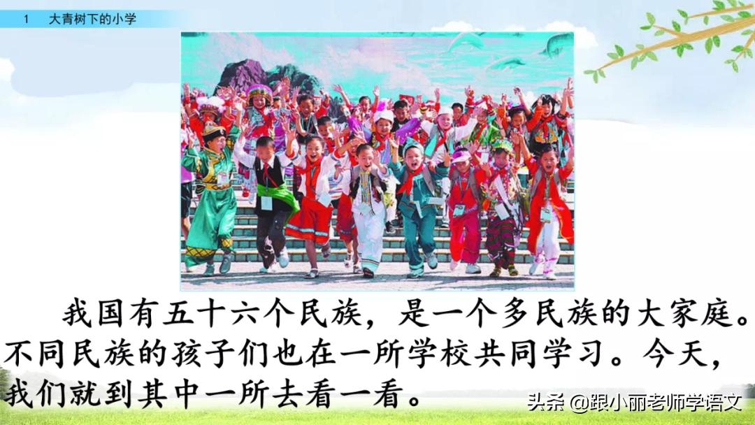 大青树下的小学重要背诵内容,大青树下的小学必会知识点