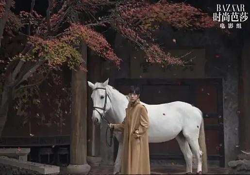 最大胆又最正经，肖战和Gucci