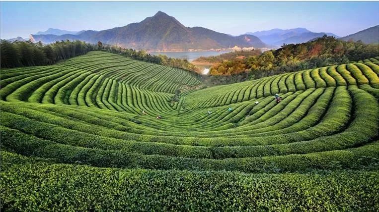 原乡小镇是什么,原乡小镇在哪里