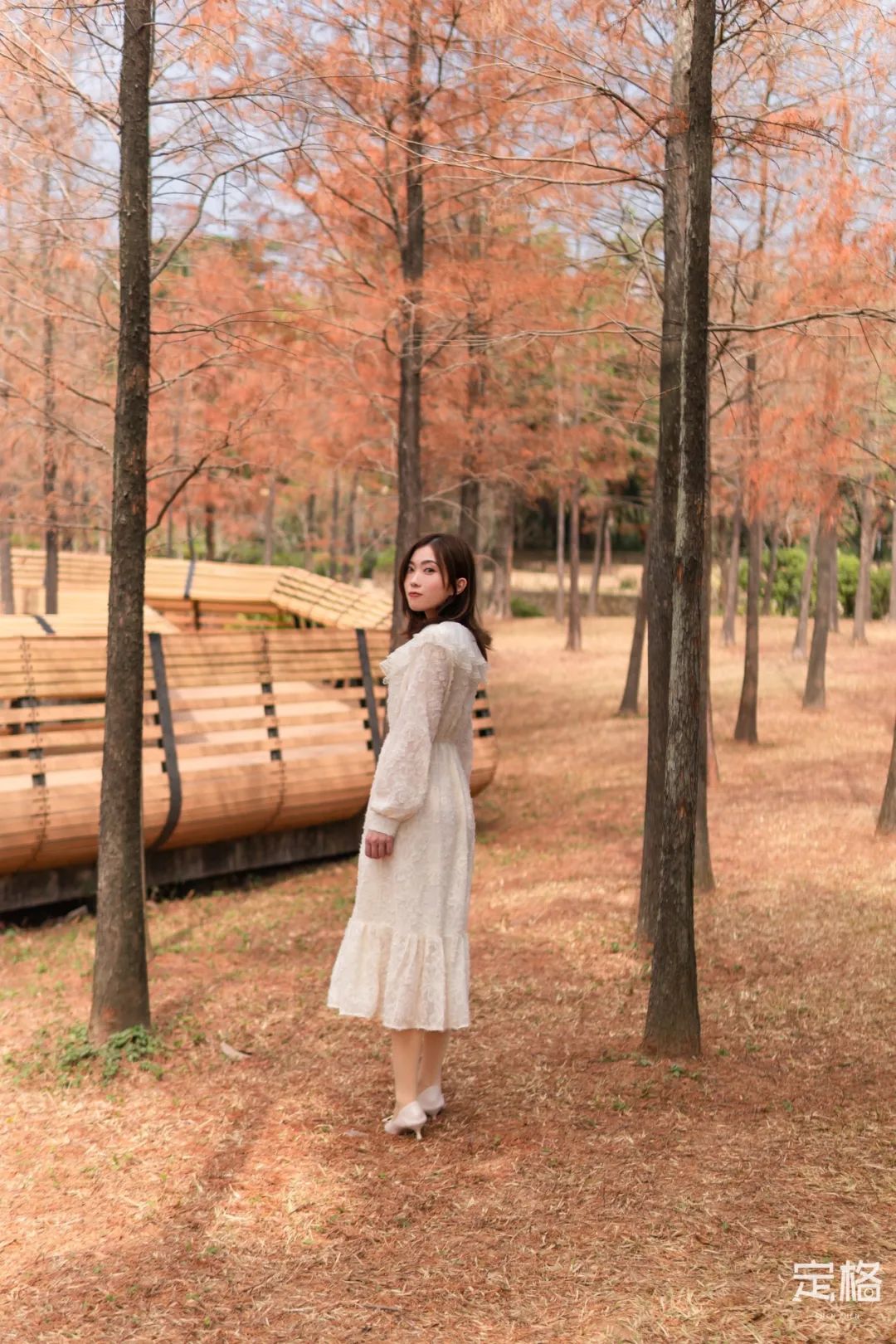 莲花山为啥一夜就火了,莲花山景区