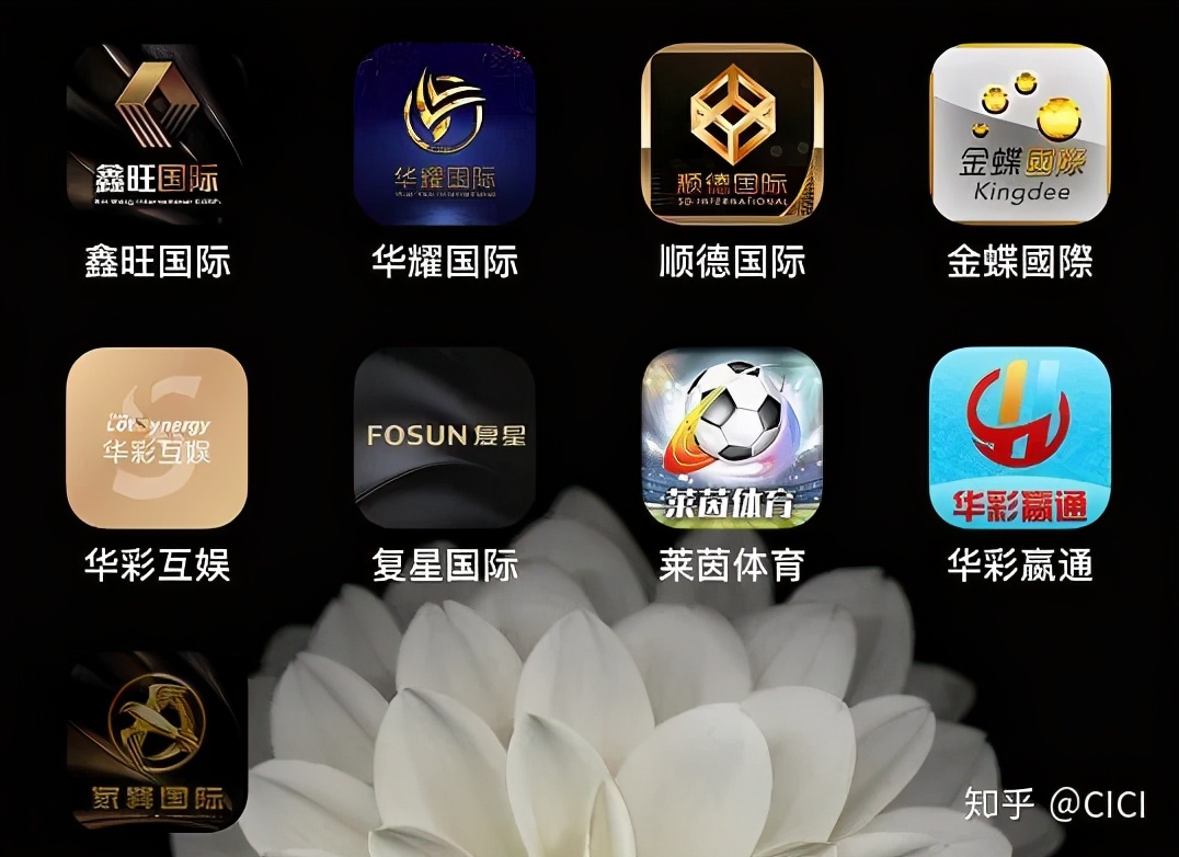 股民请注意伪慈善投票,股民杀猪盘