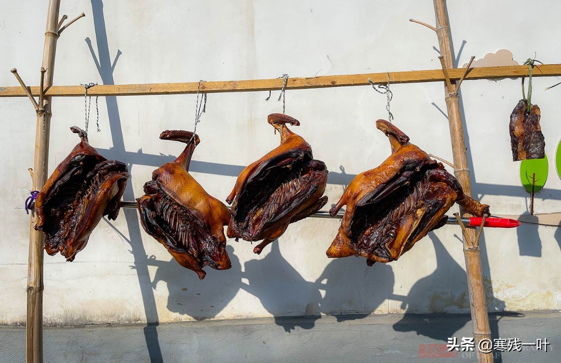 千年古镇的狗选美大赛,千年古镇一场狗狗大赛