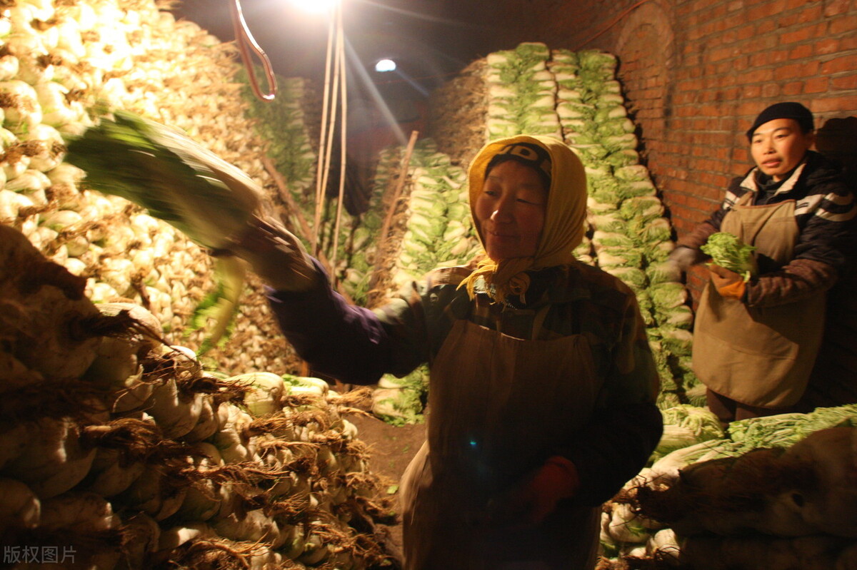 怎么储存土豆过冬,土豆水洗能储存吗