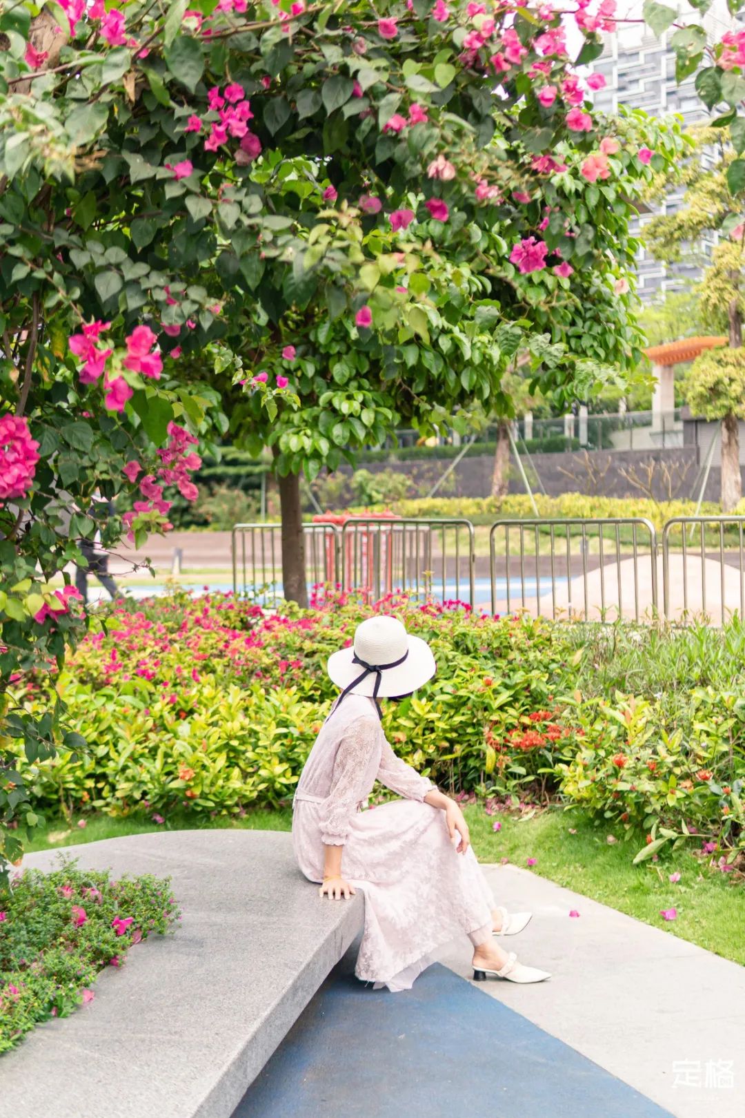 深圳人少的海滨公园,深圳滨海公园怎么样